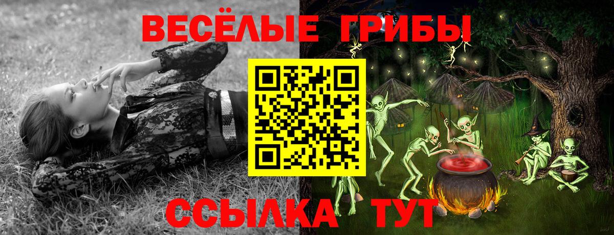 Рузаевка  дарнет шоп  Вход с VPN  Галлюциногенные грибы мицелий 